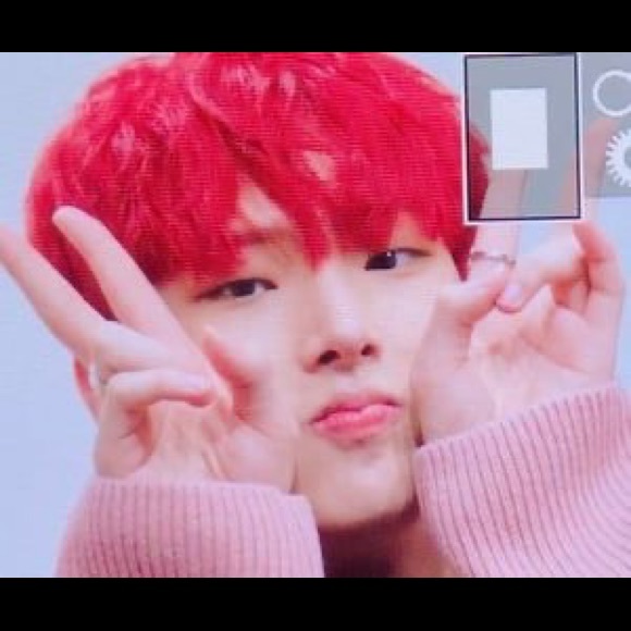 Meet your Posher, Haley - Picture 1 of 1